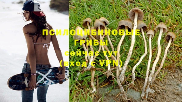 прущие крисы Волоколамск